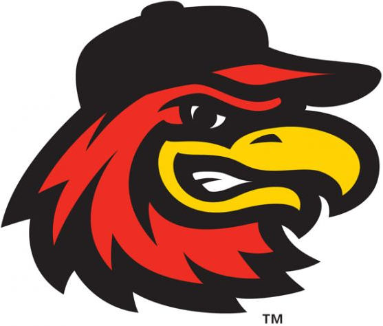 Rochester Red Wings 2014-Pres Alternate Logo v3 iron on heat transfer